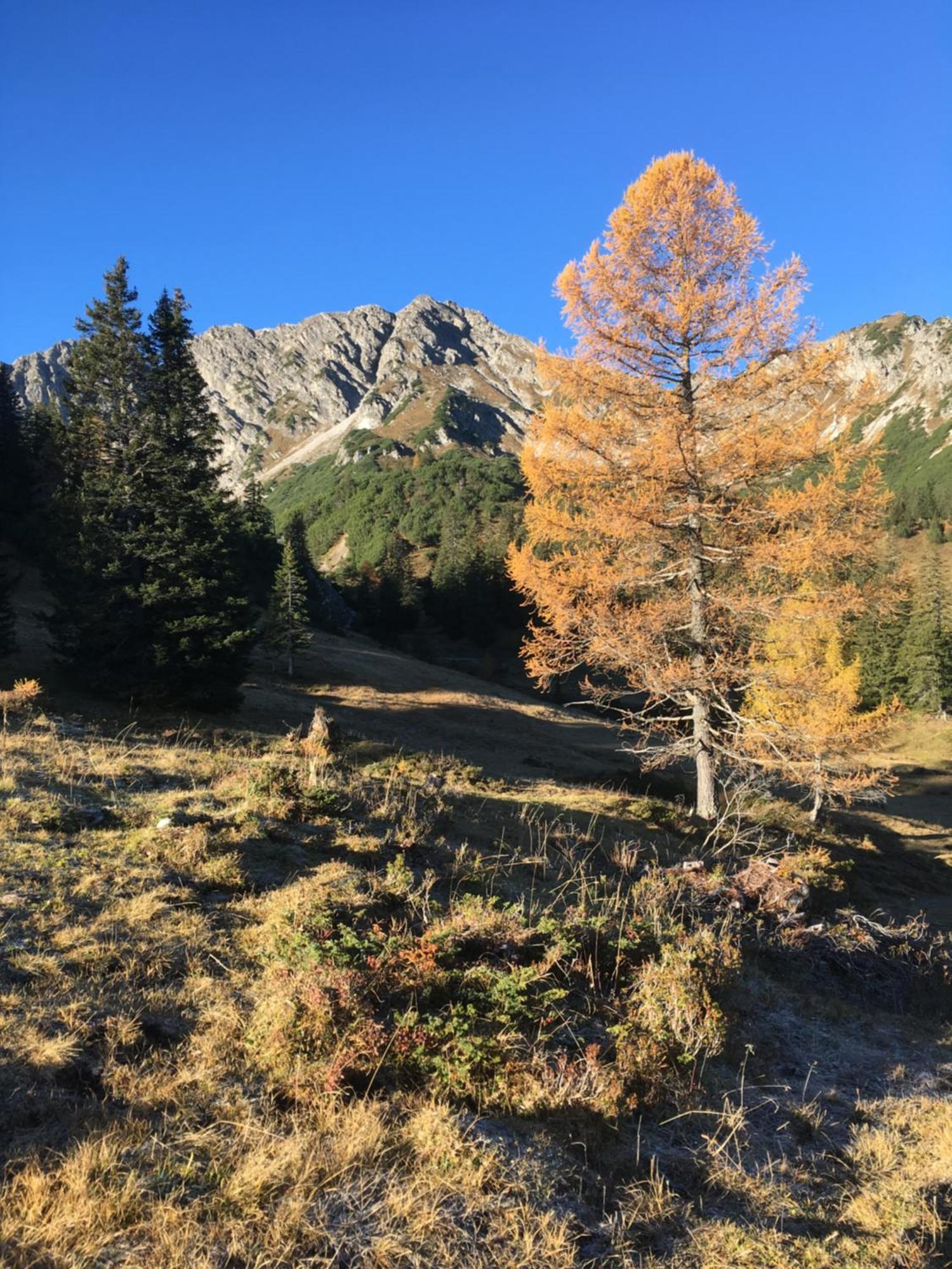 Appart Tramontana Bürserberg Exterior foto